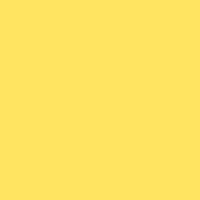 R313 Light Relief Yellow