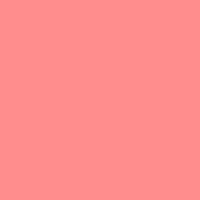 R34 Flesh Pink