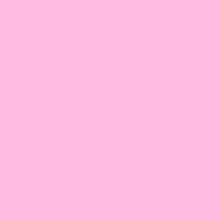 R38 Light Rose